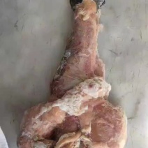 鞭