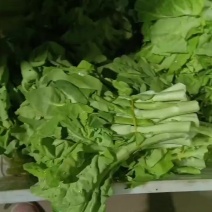 小白菜苔好吃又便宜，值得拥有。