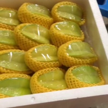 红龙杨桃