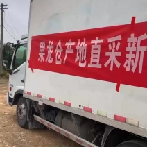 精品雷笋农产品美味可口佳肴各种规格齐全