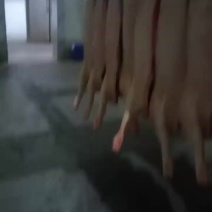 全国发货，厂里直销猪白条
