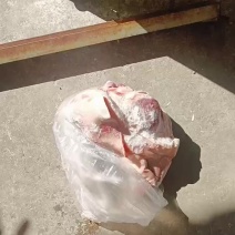 猪头