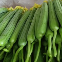 蔬菜