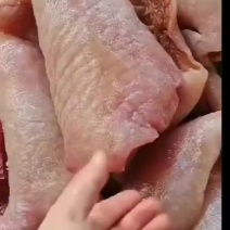 牛皮，牛头皮，厚牛皮，胶原蛋白丰厚，加工厂适合！