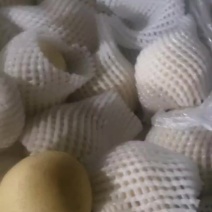 皇冠高次超高性价比