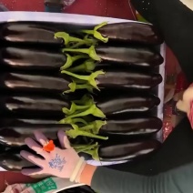 长茄