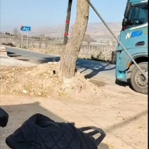 发酵纯羊粪，一吨25袋一袋80斤，质量保证