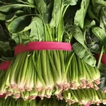 菠菜电商货市场货