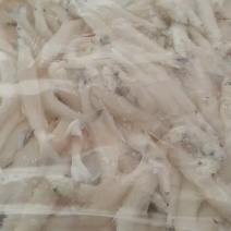10-12规格大条银鱼