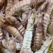 皮皮虾