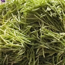 精品芸豆欢迎老板来选购位置山东日照