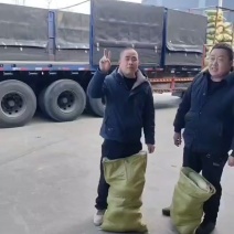 青萝卜常年有货