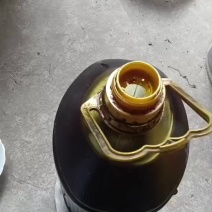 菜籽油