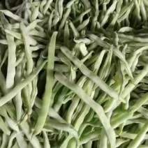 大量精品芸豆，欢迎各位老板前来采购