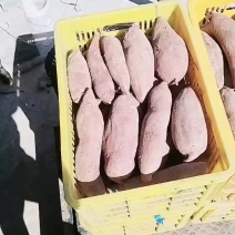 精品板栗红薯