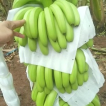 香蕉
