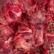 精品大公牛带肉喉头