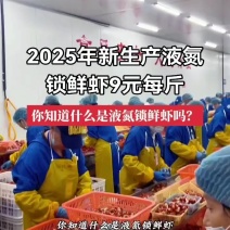 2025年新生产的液氮锁鲜虾九元每斤