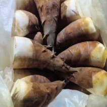 蔬菜