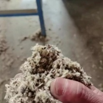 新疆压缩棉壳