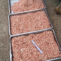 油炸河虾
