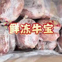 精品牛宝现货，货源充足，可炖汤，烧烤等，大补神器！！！！