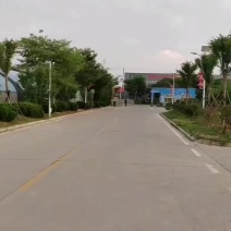 基地规模占地500亩，货源充足，质量放心