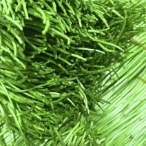 高品质比十八岁的小姑娘还嫩***********