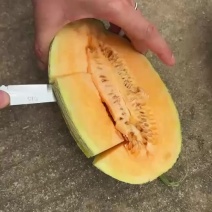 沙地晓蜜