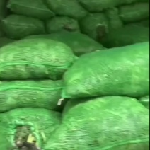 羽衣甘蓝双车发绿意盎然魅惑生万紫千红无限好茶饮榨汁少不