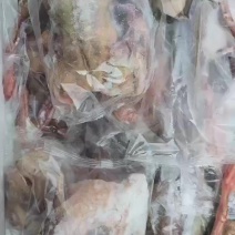 出售5-6两半净膛鸽子