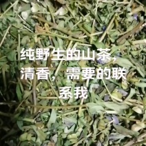 茶