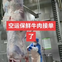 空运保鲜牛肉大量接单