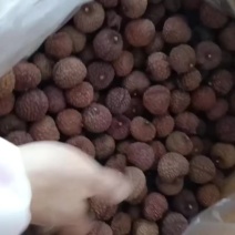 鸡嘴荔枝干