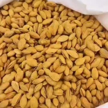 新疆喀什莎车县的纸皮巴旦木当地的货货量有限