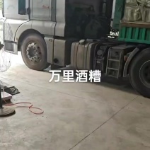 DDGS玉米酒糟蛋白饲料猪牛羊酒糟通用代替玉米量大从优