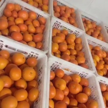 长期大量供应周转筐，各种型号规格都有