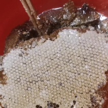 蜂蜜***野生百花冬蜜深山老林的珍贵食品