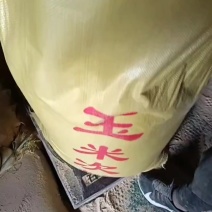 玉米次粉，代替玉米，食品厂下来的