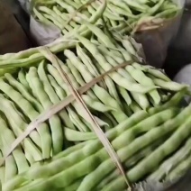 3.11号今日芸豆大量发车，质量中等以上，欢迎各位老板