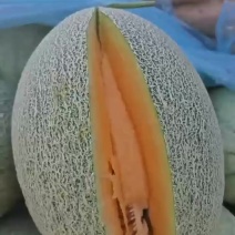 小蜜大量供应商超，市场，社区平台，量大质优