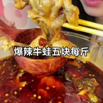 爆辣牛蛙五元每斤️牛蛙火锅巨好吃蛙蛙很嫩配