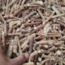 野生五指毛桃干货纯野生货煲汤料椰奶味香浓