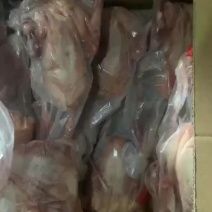 出售4-5两二级鸽子