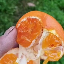 明日见