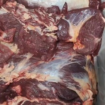 内蒙纯干牛肉黄膘牛肉出成高牛前牛后牛肋条牛肚腩护心肉牛排