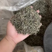 毛尖茶