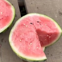 麒麟西瓜