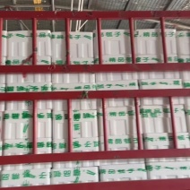 精品瓠子，瓠瓜，夜开花大量有货，需要的老板联系