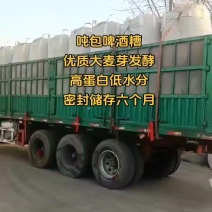 吨包啤酒糟